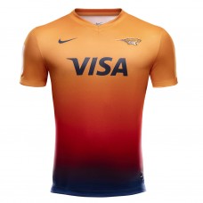 argentina pumas jersey