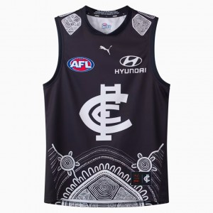 Carlton Blues 2025 Mens Indigenous Guernsey