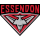 Essendon Bombers image