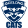 Geelong Cats image