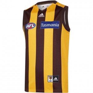 Hawthorn Hawks 2020 Mens Home Guernsey