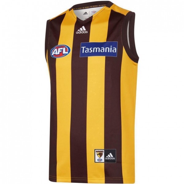 Hawthorn Hawks 2020 Mens Home Guernsey