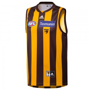Hawthorn Hawks 2022 Mens Home Guernsey