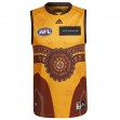 Hawthorn Hawks 2022 Mens Indigenous Guernsey