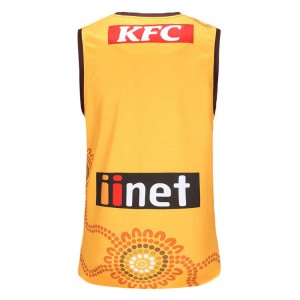 Hawthorn Hawks 2023 Mens Indigenous Guernsey
