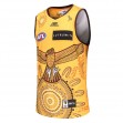 Hawthorn Hawks 2023 Mens Indigenous Guernsey