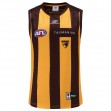Hawthorn Hawks Mens 2023 Home Guernsey