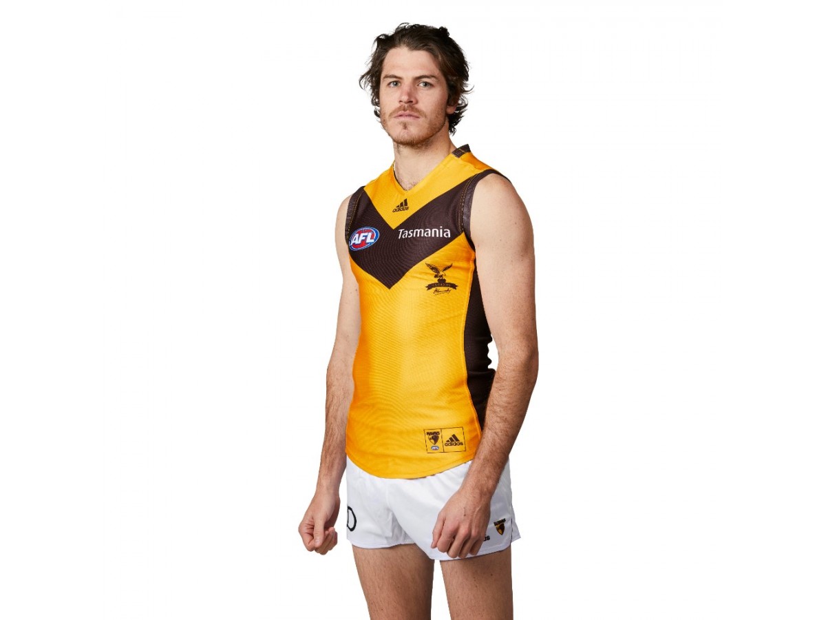 hawthorn hawks jersey