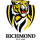 Richmond Tigers image