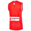 Sydney Swans 2022 Mens Indigenous Guernsey