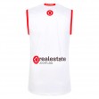 Sydney Swans 2023 Mens Heritage Guernsey