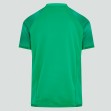 Ireland 2022-23 Men's Vapodri Home Pro Jersey