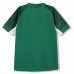 Ireland 2026 Men's Home Pro Jersey