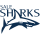 Sale Sharks image