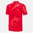 Welsh 2022-23 Mens Commonwealth Games Home Jersey