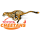 Cheetahs image