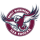 Manly Warringah Sea Eagles image