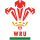 Wales National Rugby Team image
