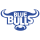 Vodacom Bulls image