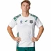 Australia Rugby World Cup 2023 Mens Away Jersey