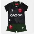 Welsh Rugby Kids 2021-22 Away Kit