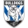 Canterbury-Bankstown Bulldogs image