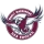 Manly Warringah Sea Eagles image