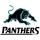 Penrith Panthers	 image